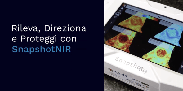 Italian DDP title page video